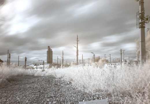 Life in Infrared