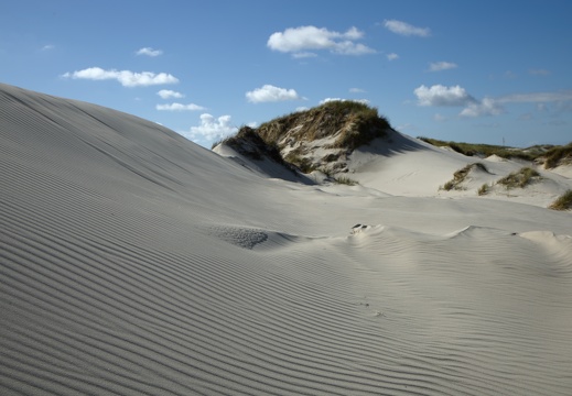 Amrum Dunes
