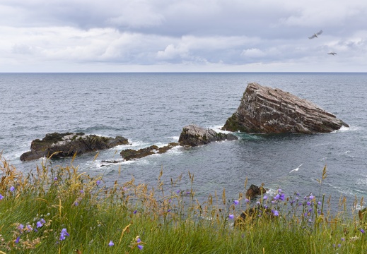 Near Bow Fiddle Rock