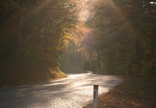 Höhenstraße