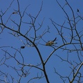IMG_9401.jpg