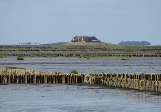 Nordstrandischmoor