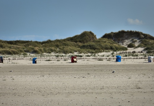 Amrum