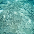GOPR0790.jpg