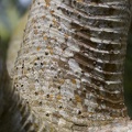 IMG_3761.jpg