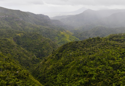 Black River Gorges