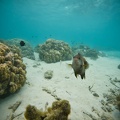 GOPR0687.jpg