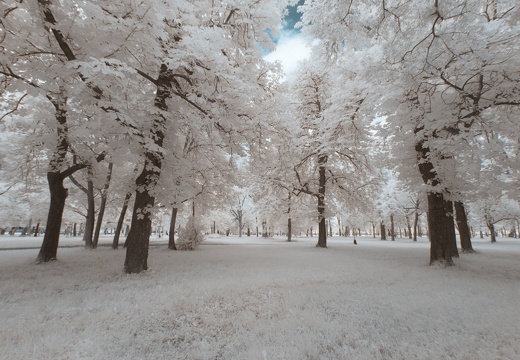 Prater