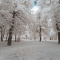 _MG_9752.jpg
