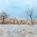 _MG_9788.jpg