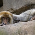 IMG_5028.jpg