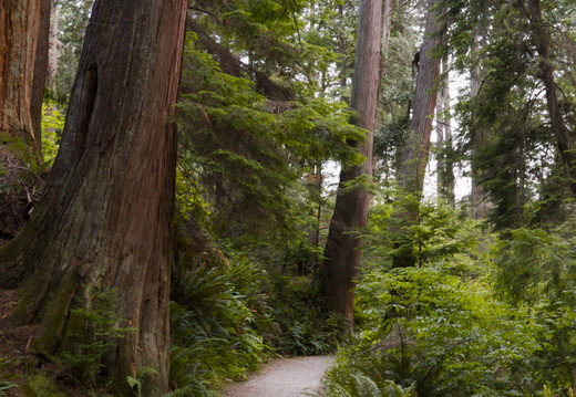 Stanley Park