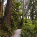 BY4A3458.jpg