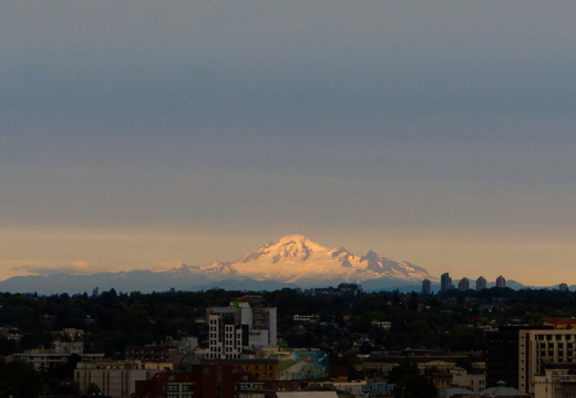 Mt. Baker