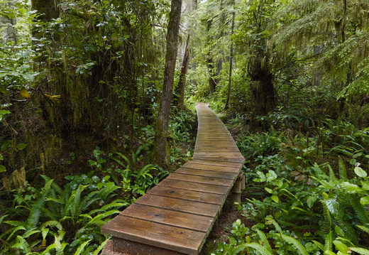 Board Walk