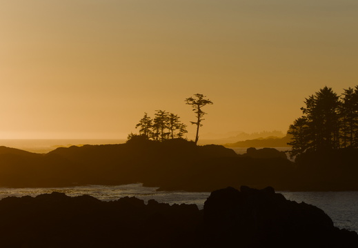 Ucluelet Sunset