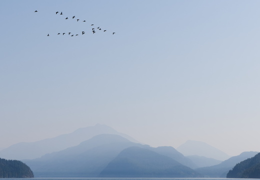 Coast Mountains