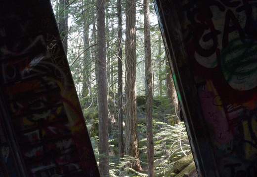 Trainwreck Trail