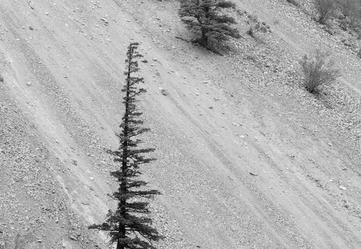 Seton Lake