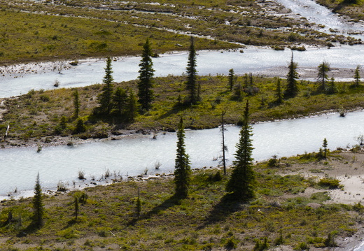 Icefield Parkway